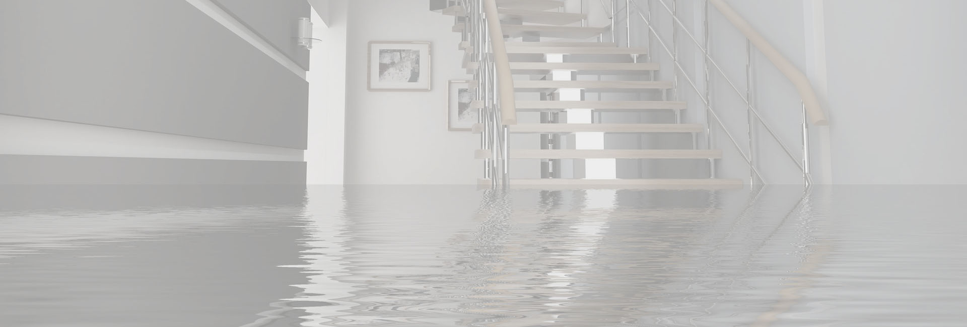 Home Restoration Cranbrook