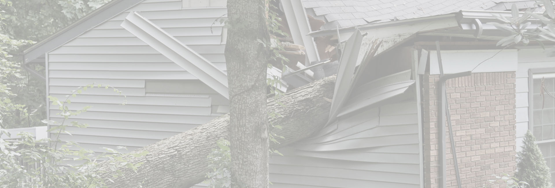 Home Restoration Cranbrook